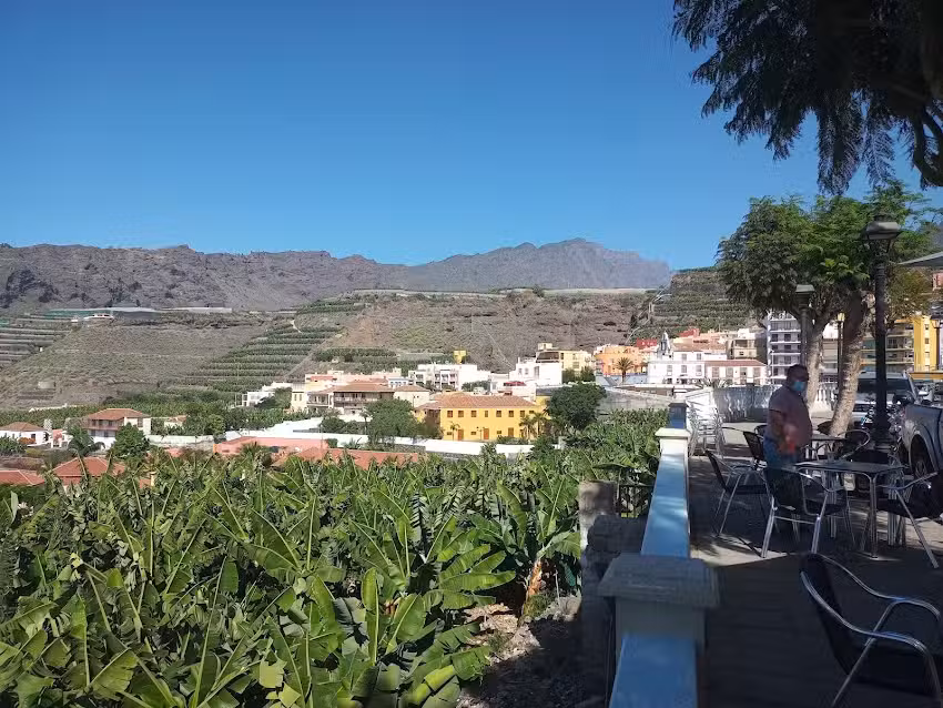 Caf&eacute; gorgonia