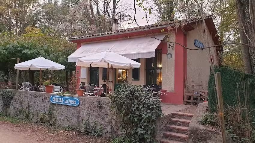 Cafeteria codella