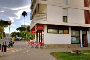 Caliu pollos a l’ast. Arrocería casera.