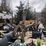 Canalla Tacos y Tragos