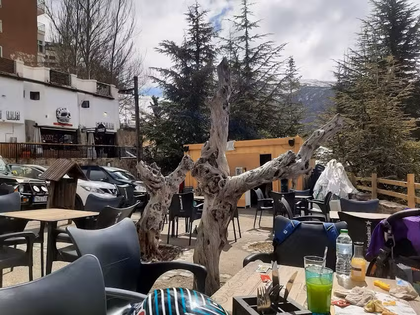 Canalla Tacos y Tragos