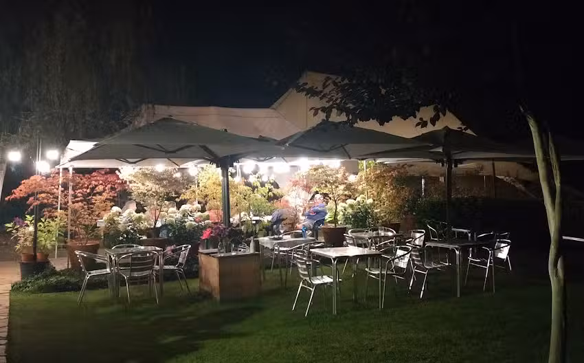 Casa de comidas El Bosque