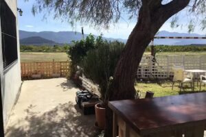 Casa Olga Bar Terraza / Aeroplane Terrace / Aerorodromo Benicolet