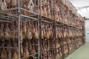 Castanoble | Le&oacute;n