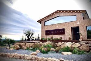 Celler Castelo de Pedregosa