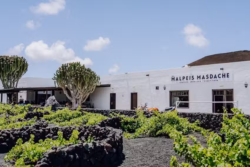 Cervecera Malpeis Masdache