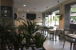 Cervecer&iacute;a San Francisco