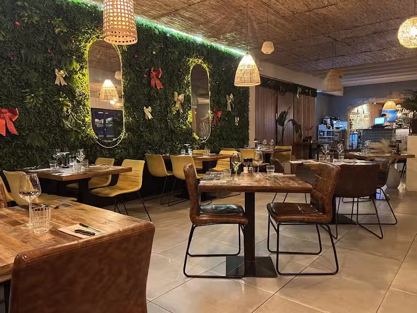 Cha Cha Bistro Bar Alcalali