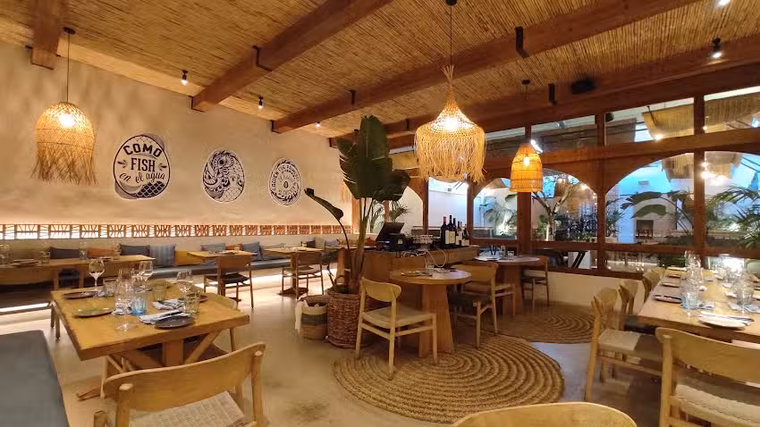 Chicken and Fish Grill