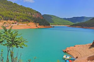 Chiringuito Árbol del Cielo