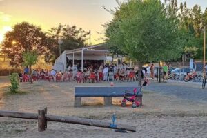 Chiringuito De Verano