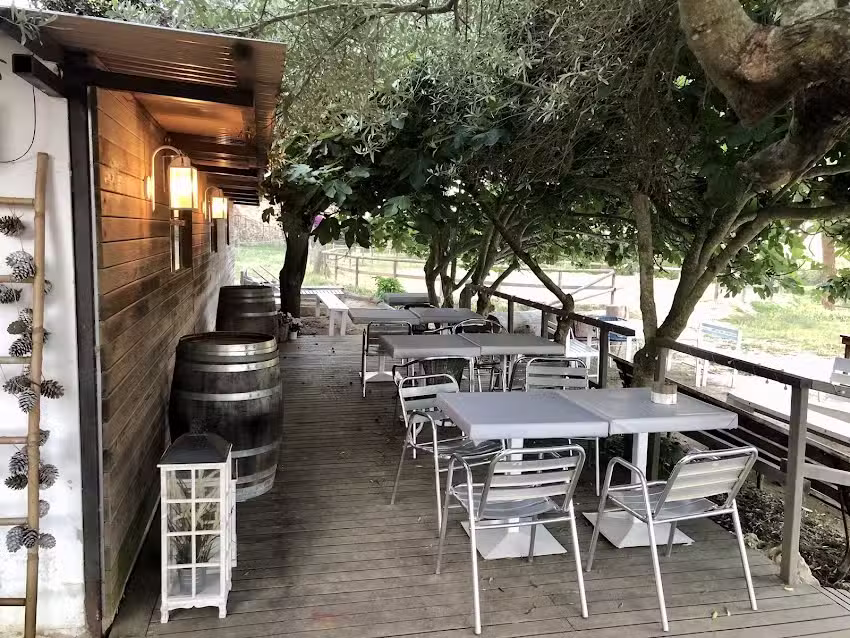 Chiringuito El olivo de Sant Mateu