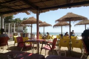 Chiringuito Los Troncos