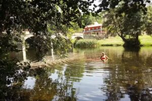 Chiringuito Pte. Nueva