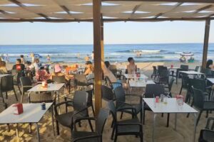 Chiringuito Salty Monkey