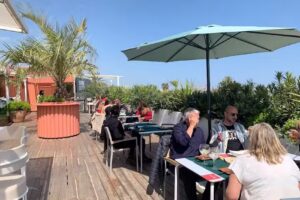 Coconut Terraza by Spook Club