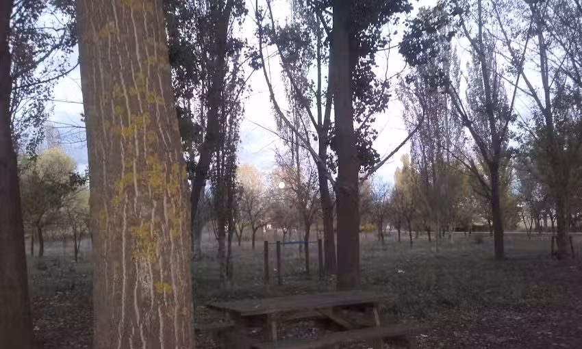 Cojocaru, M.