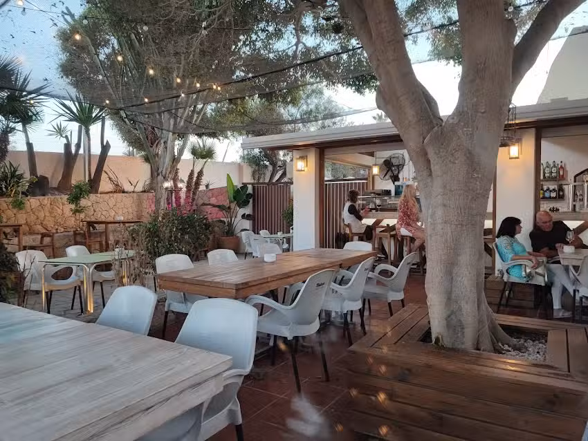 Cokkia Moj&aacute;car