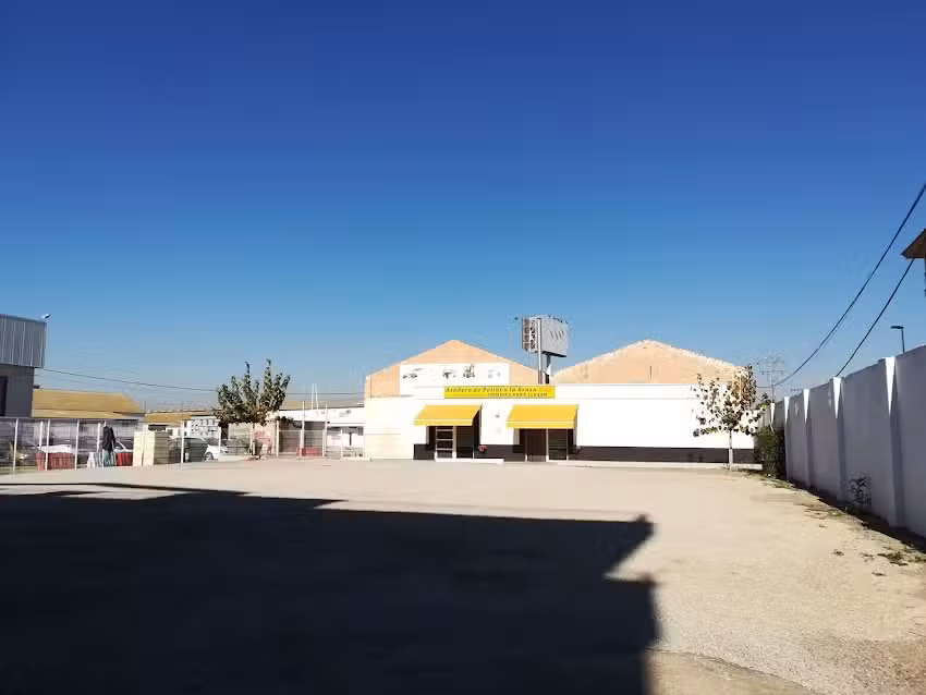 Comidas Para Llevar Sole