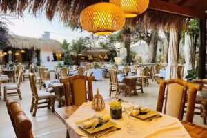 CÔTÔ IBIZA – Vietnam Japan cuisines