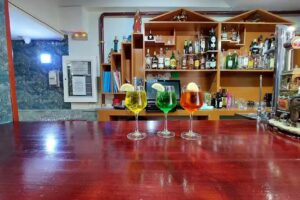 Darchini Indian Cuisine