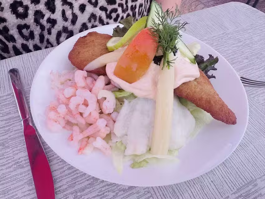 Den Lille Danske