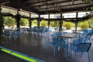 Disco Jard&iacute;n Oasis