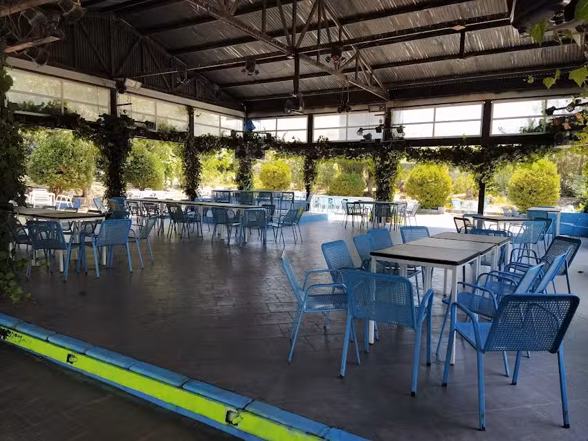 Disco Jard&iacute;n Oasis