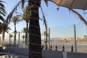 Double Dutch Sportsman