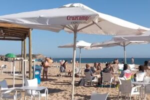 D&rsquo;Rev&eacute;s