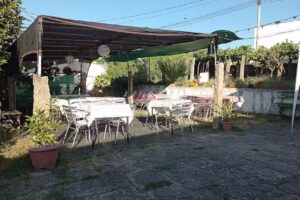 EL ALAMBRE DEL ABUELO