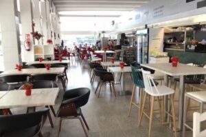 El barecillo de Paco