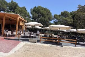 El Bosque Animado de Mil Palmeras