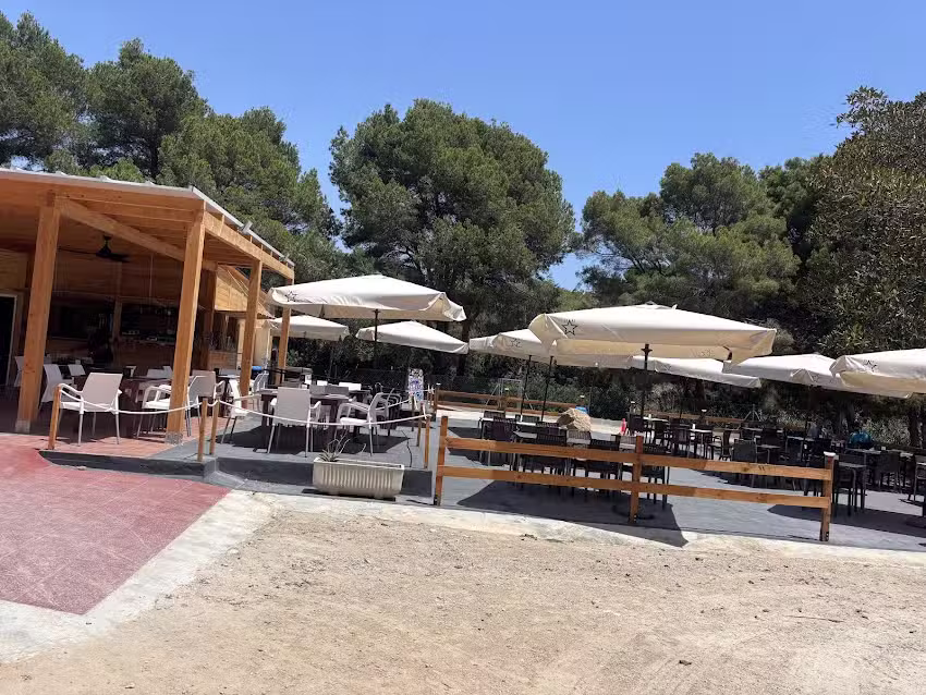 El Bosque Animado de Mil Palmeras