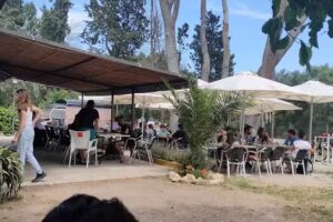 El Chiringuito de Crestatx