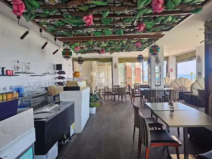 El Drag&oacute;n de Marina d&rsquo;Or