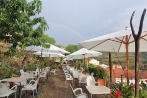 El huerto de La Tinen&ccedil;a