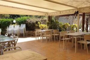 El Mol&iacute; de Cal Dimoni