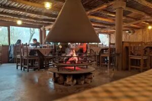 EL MOL&Iacute; DE LA BARITA