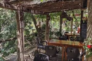 El molinillo de la abuela