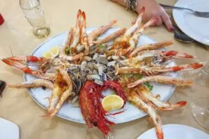 el nuevo rinc&oacute;n