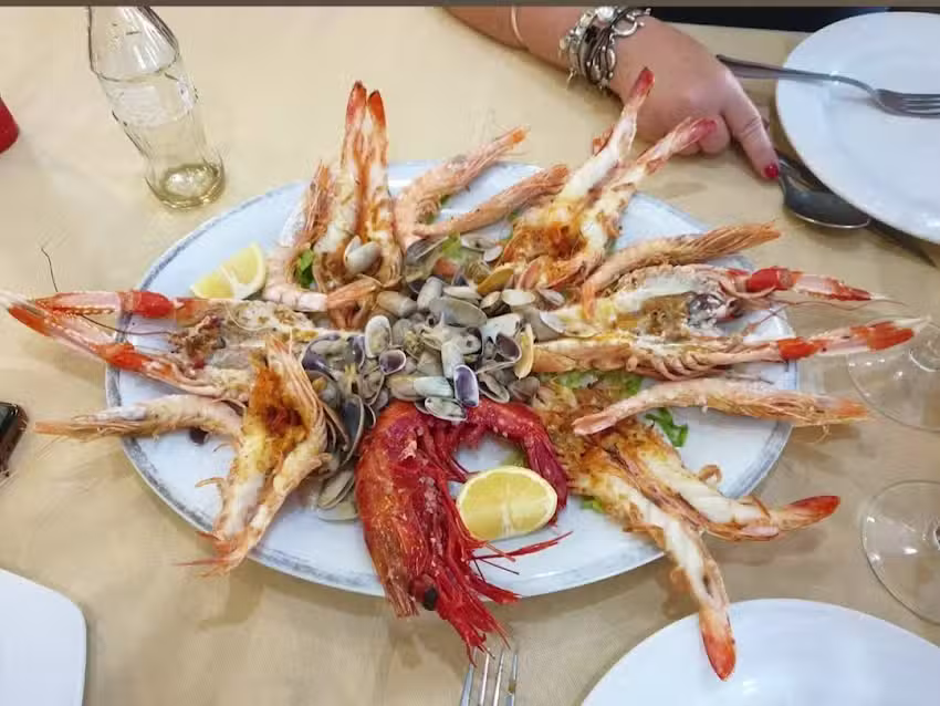 el nuevo rinc&oacute;n
