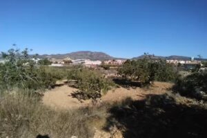 el rincon de las tias