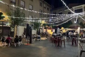 El Rom&aacute;ntico Le&oacute;n