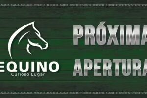 EQUINO Las Rozas