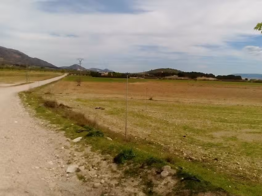 Finca Casa Alarc&oacute;n