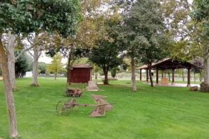 Finca Puentes Mediana