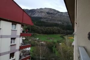 Floreaga berri taberna