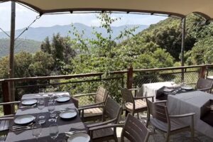 FORMATGERIA DEL MONTSENY: Productors d&rsquo;ambit local destinats a la degustaci&oacute; dels productes de la propia explotaci&oacute; ramadera