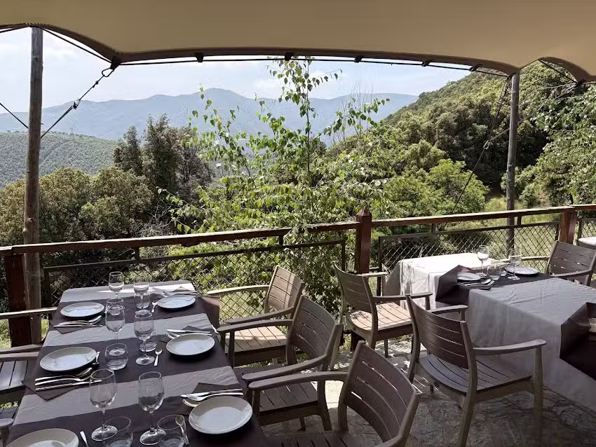 FORMATGERIA DEL MONTSENY: Productors d&rsquo;ambit local destinats a la degustaci&oacute; dels productes de la propia explotaci&oacute; ramadera